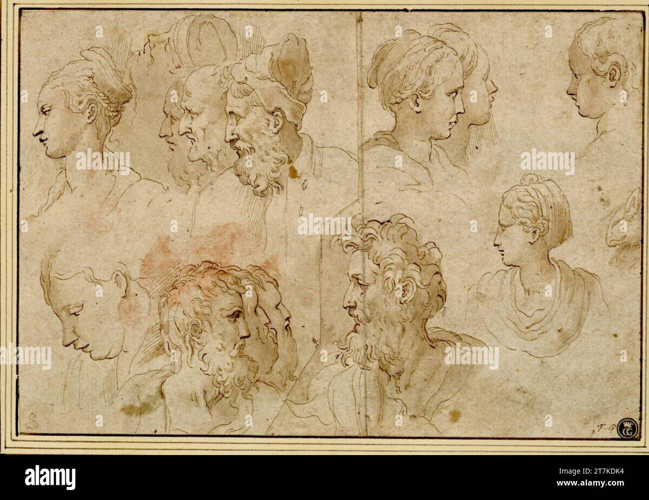 Anonym Head studies in two rows on top of each other, seven of the ...
