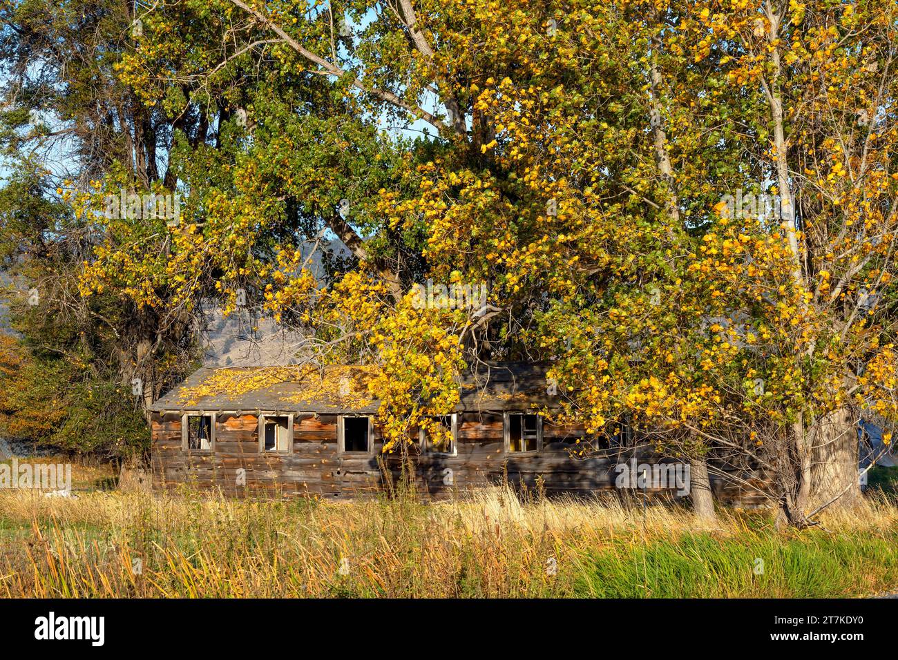 After World War II buildings from the Japanese Interment Camps were ...