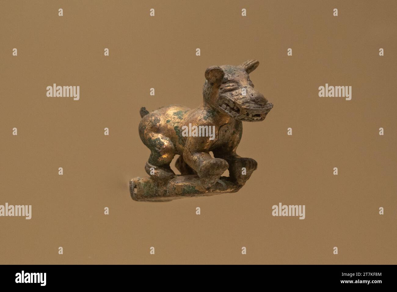 Muisca animal hi-res stock photography and images - Alamy