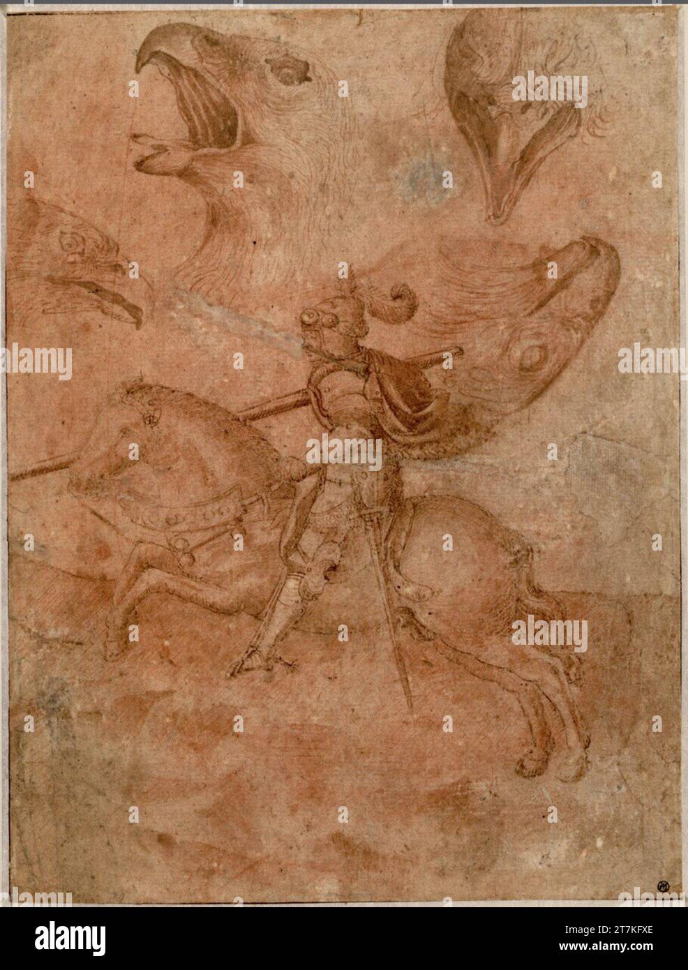 Anonym Study sheet (knight on horseback with pickled lance, four studies of falcon heads). Feder, brush, reddish, on a steered paper Zweites und drittes Viertel 15. Century Stock Photo