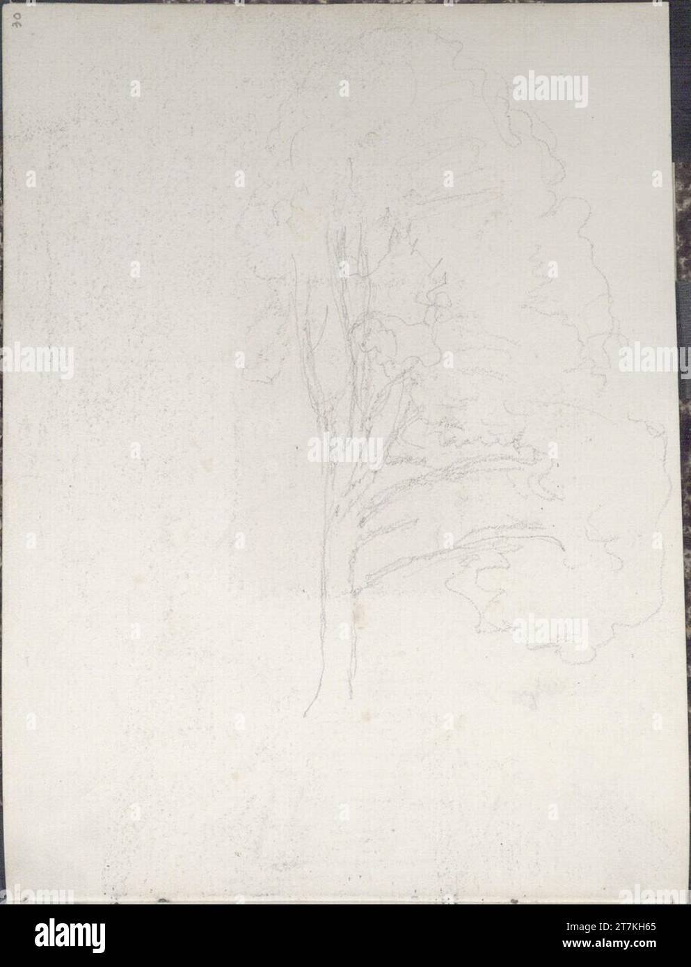 Rudolf Ribarz Sketch of a tree. Pencil Stock Photo