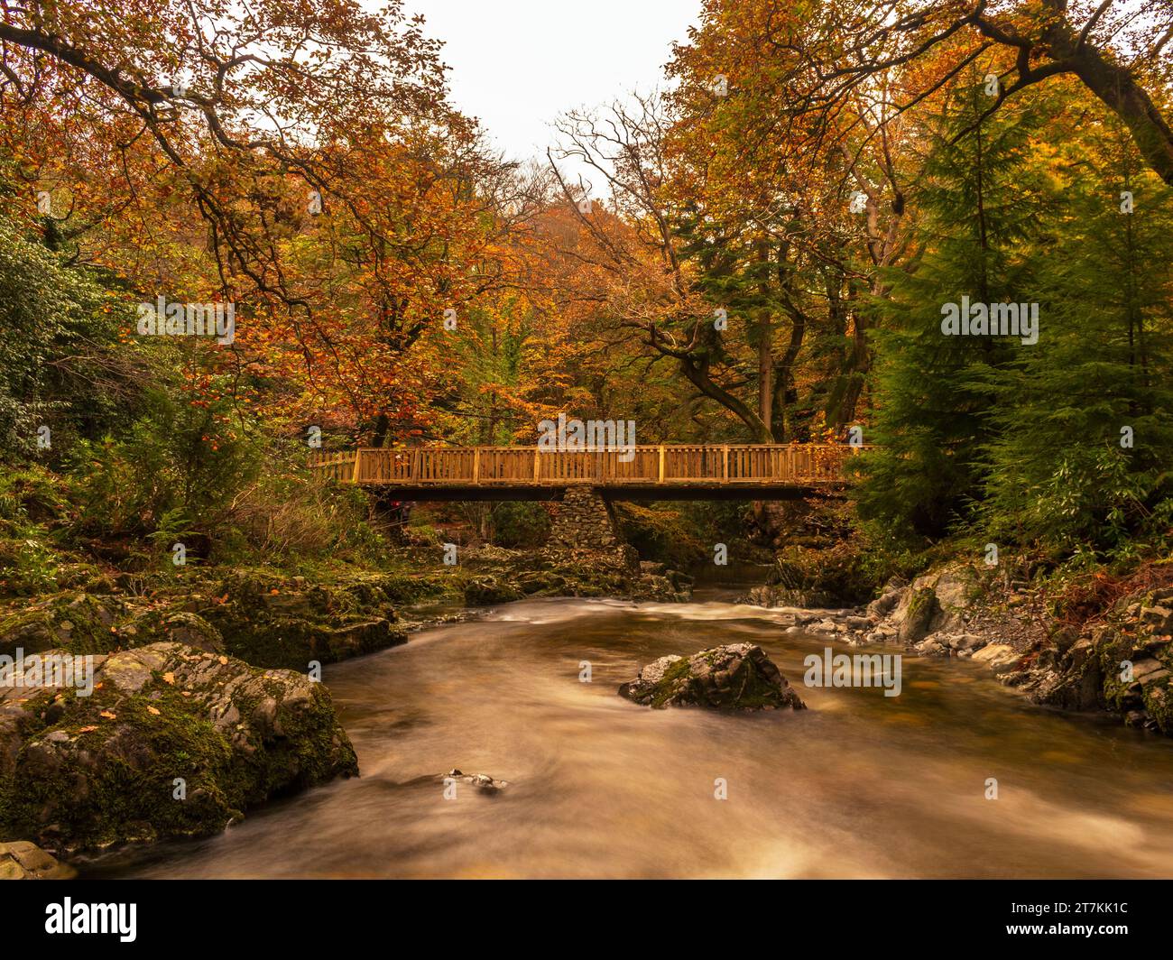 Changing of colours hi-res stock photography and images - Alamy