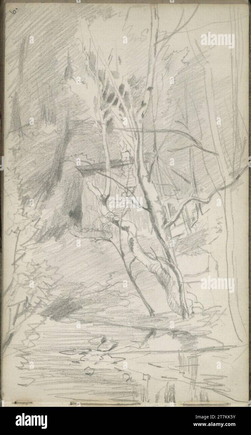 Tina Blau Waldstudie. Pencil 1870 , 1870 Stock Photo