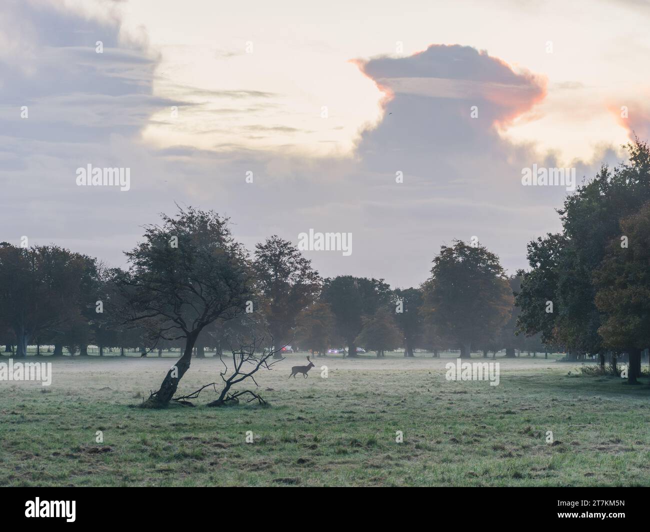 Patchy cloud hi-res stock photography and images - Alamy