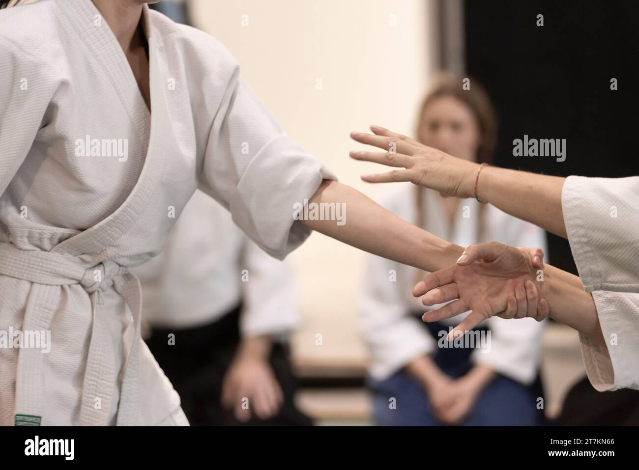 Women Practicing Aikido Stock Photo