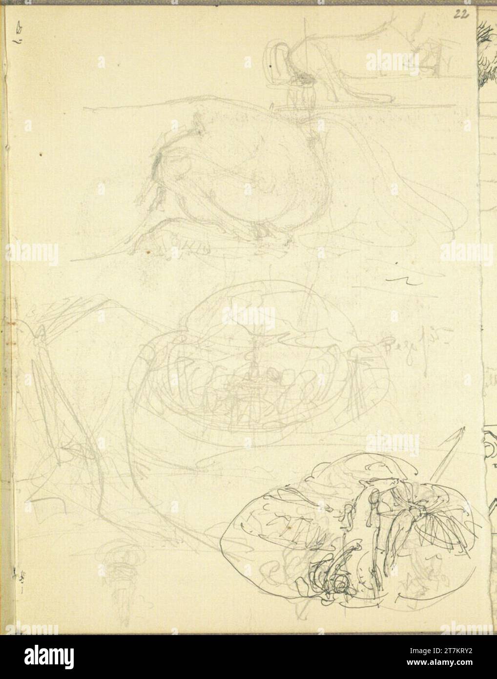 Alexander Rothaug Different sketches. Pencil; Ink spring around 1901 ...