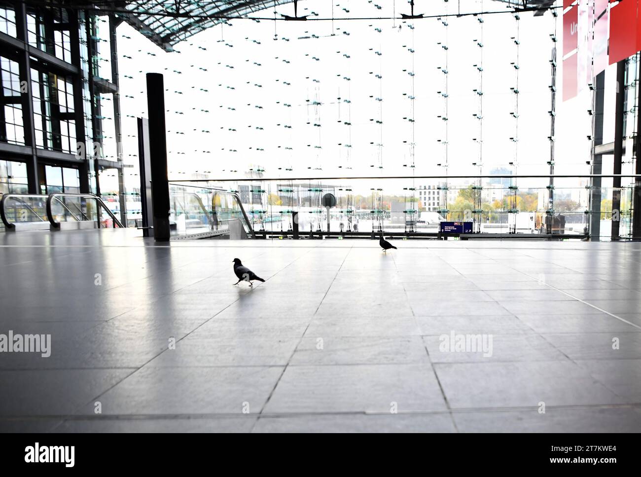 Berlin, Germany. 16th Nov, 2023. Pigeons are seen at Berlin Central Train Station in Berlin, Germany, Nov. 16, 2023. Germany is bracing for a short-notice nationwide rail strike that is scheduled to start on Wednesday evening local time and last 20 hours. Credit: Ren Pengfei/Xinhua/Alamy Live News Stock Photo