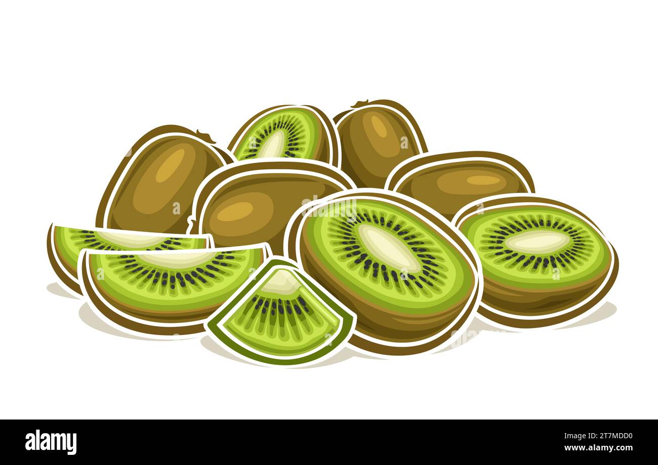 Vector logo for Kiwi Fruit, decorative horizontal poster with outline