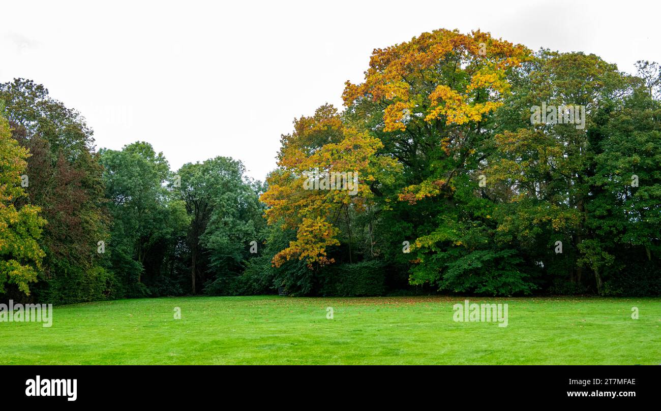 Autumn landscape with trees Stock Photo - Alamy