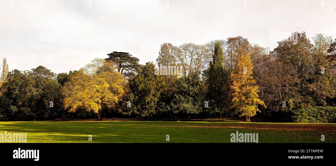 Autumn landscape with trees Stock Photo - Alamy