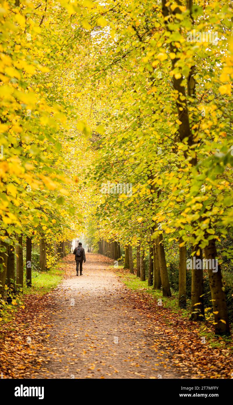 Lone walker in silhouette hi-res stock photography and images - Alamy