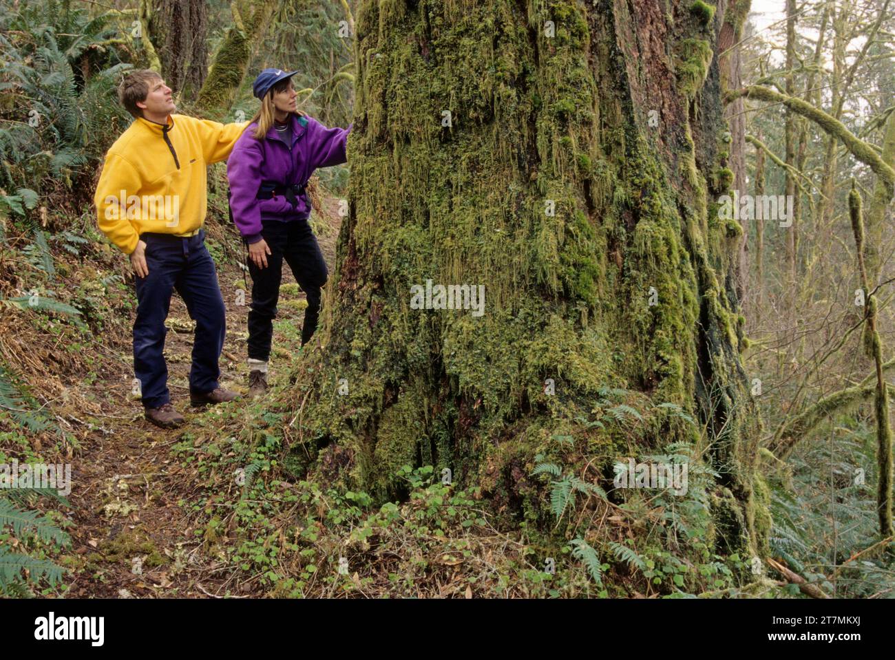 Large fir along Clay Creek Trail, Eugene District Bureau of Land