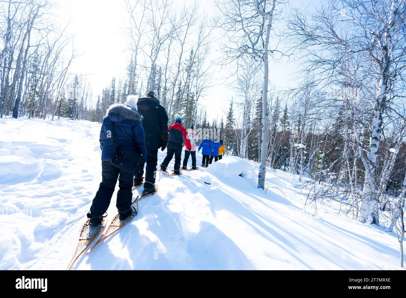 Snowshoeing through a snowy forest on large traditional wooden snowshoes, Yellowknife, Northwest Territories, Canada Stock Photo