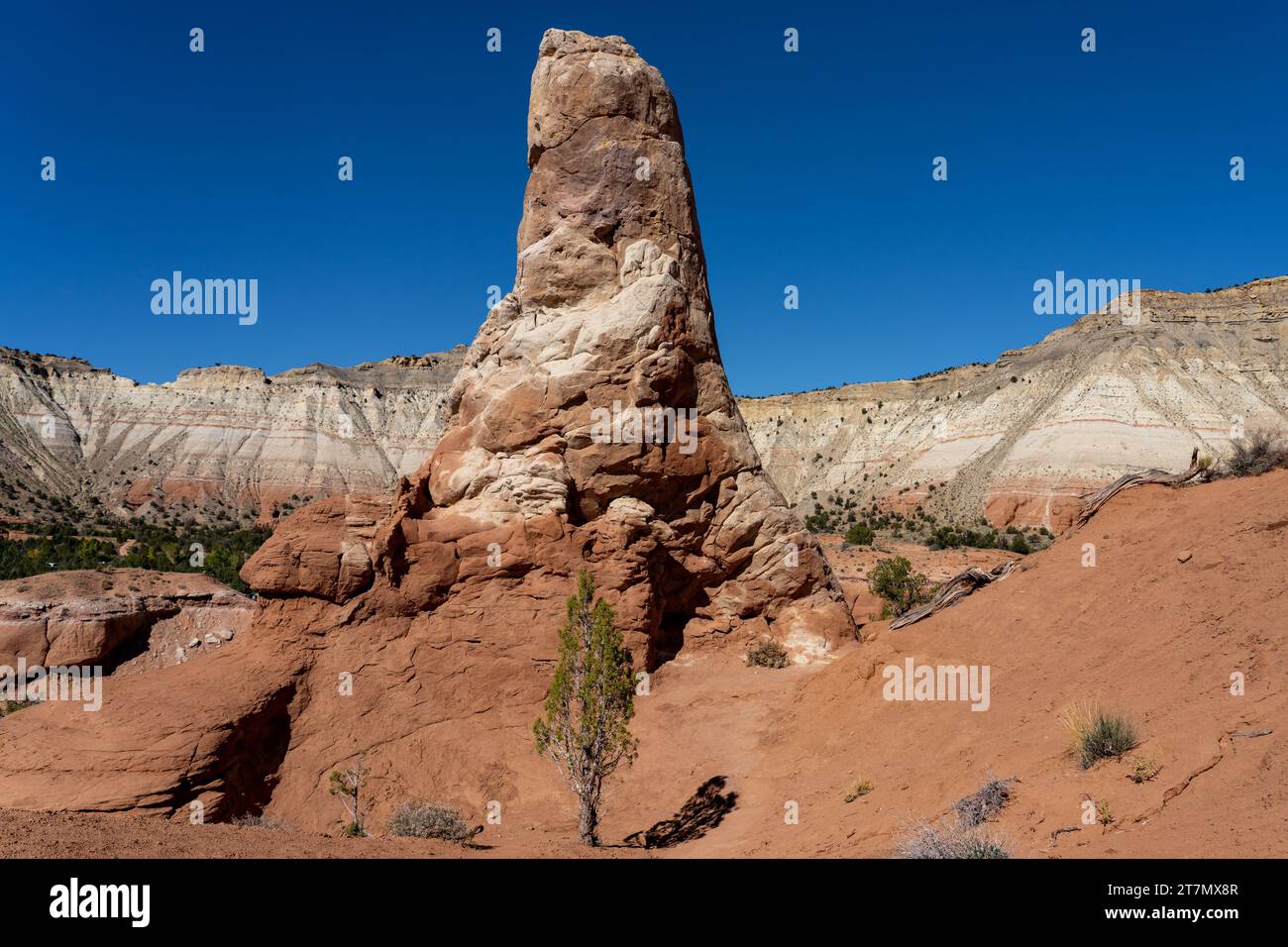 A small juniper tree in front of a sand pipe or chimney rock, an eroded rock tower in Kodachrome Basin State Park in Utah. Stock Photo
