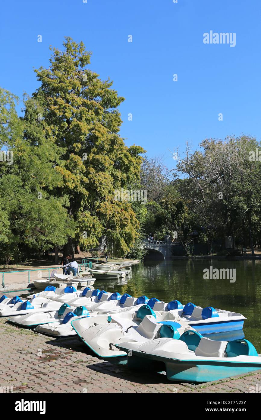 Boating Lake, Cişmigiu Gardens (Grădina Cișmigiu), Bulevardul Regina Elisabeta, Historic Centre, Bucharest, Municipality of Bucharest, Romania, Europe Stock Photo