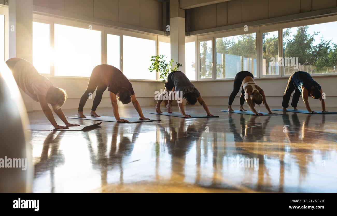 Yoga class in downward dog position, sunlit gym with reflective floor Stock Photo