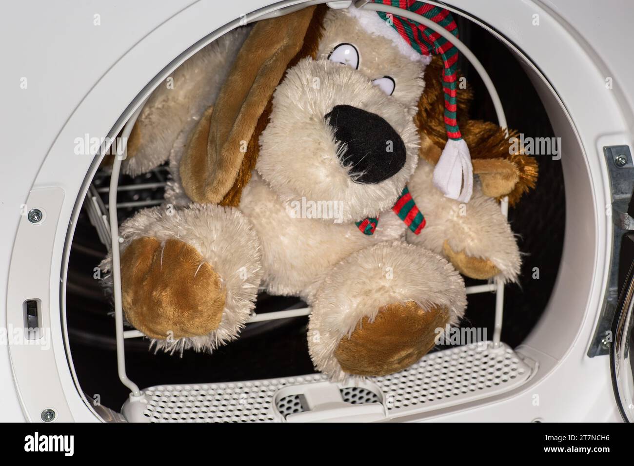 children's soft toy in the dryer basket after washing, home life. Stock Photo