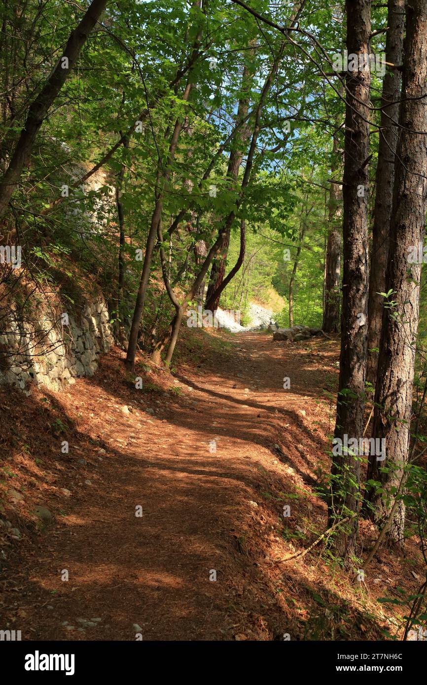 Hiking trail in the woods, Rovereto, Italy Stock Photo