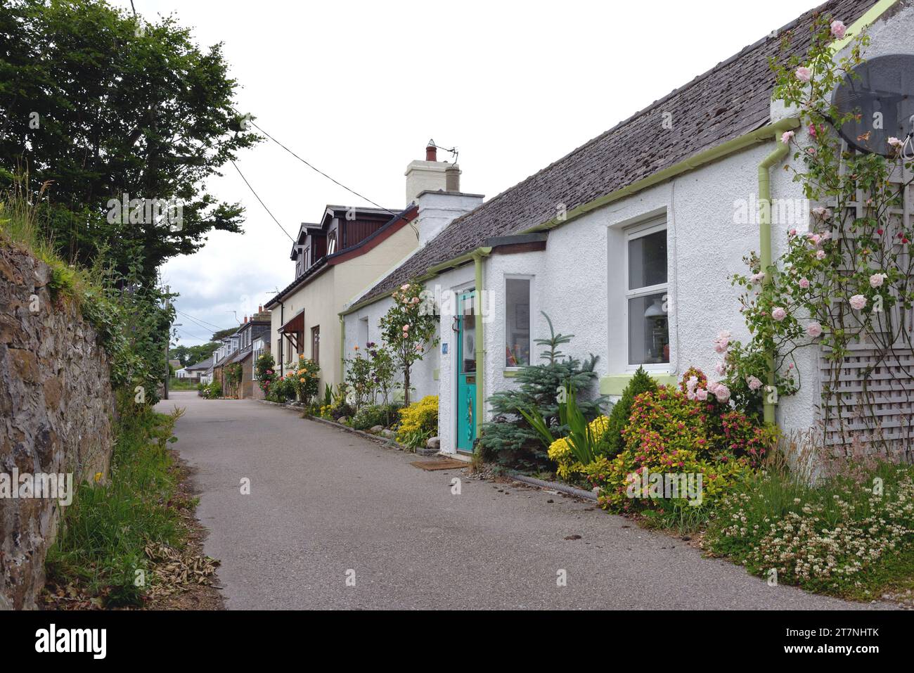 Well kept small gardens and traditional Scottish cottages in Dornoch, Sutherland, Scotland Stock Photo