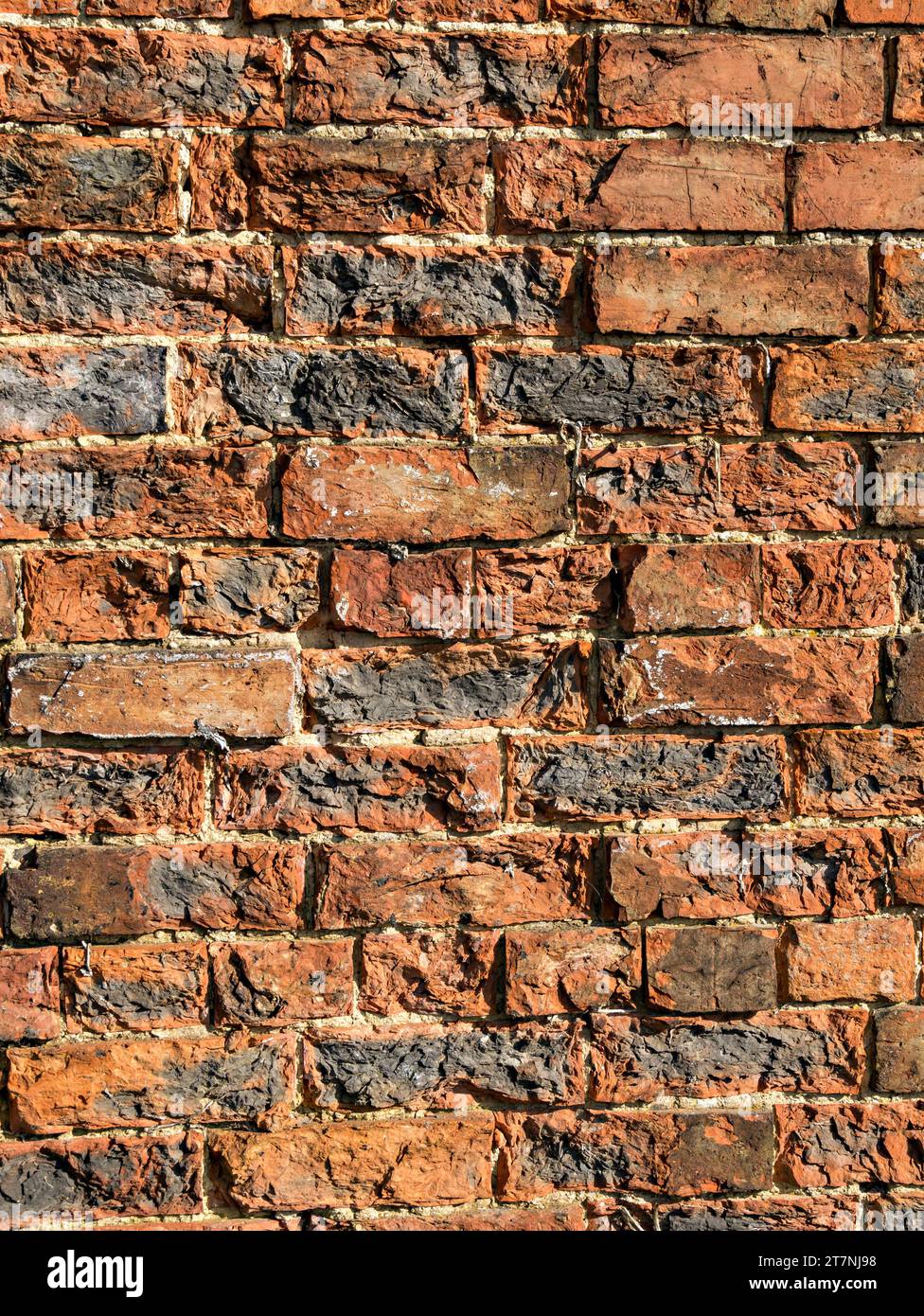 Old red brick wall showing frost damage / weathering resulting in spalling / bursting / crumbling / cracking of brick faces, England, UK Stock Photo