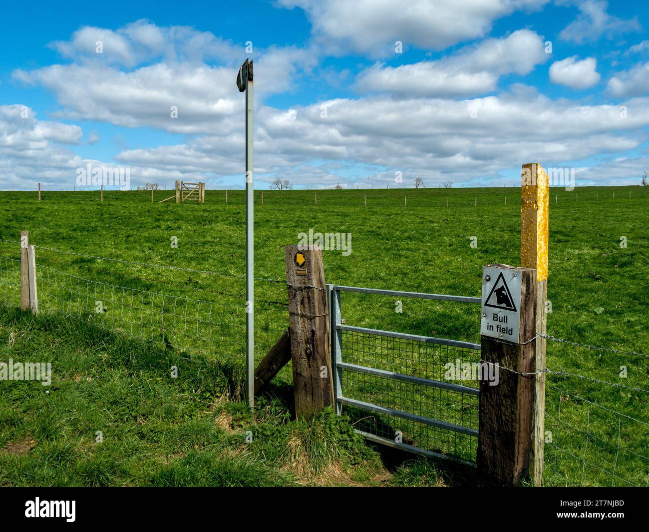 Row of footpath gates with bull in field warning sign and yellow marker post leading across green farm fields to the horizon with blue sky above. Stock Photo