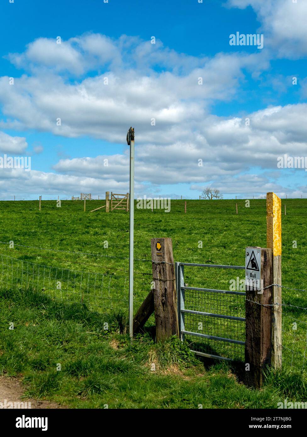 Row of footpath gates with bull in field warning sign and yellow marker post leading across green farm fields to the horizon with blue sky above. Stock Photo