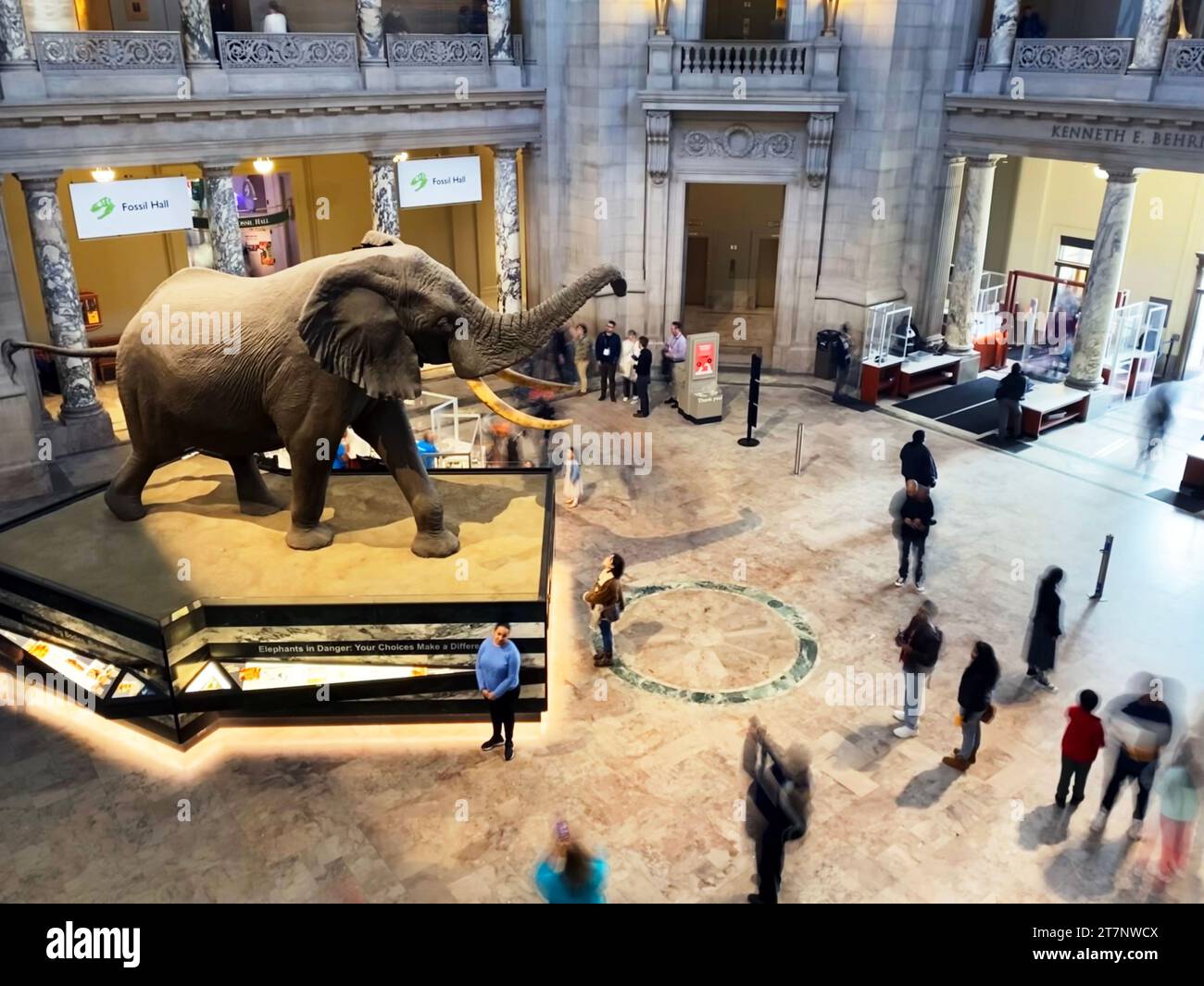 The National Museum of Natural History in Washington, DC Stock Photo