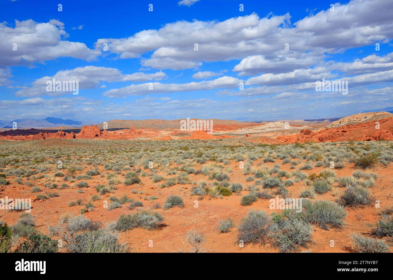 Rainbow Vista, Valley of Fire State Park, Nevada Stock Photo - Alamy