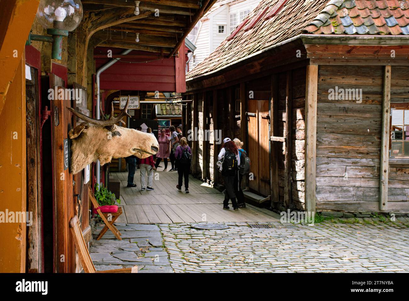 Bergen's little secret trading houses with a moose head behind the big facade Stock Photo