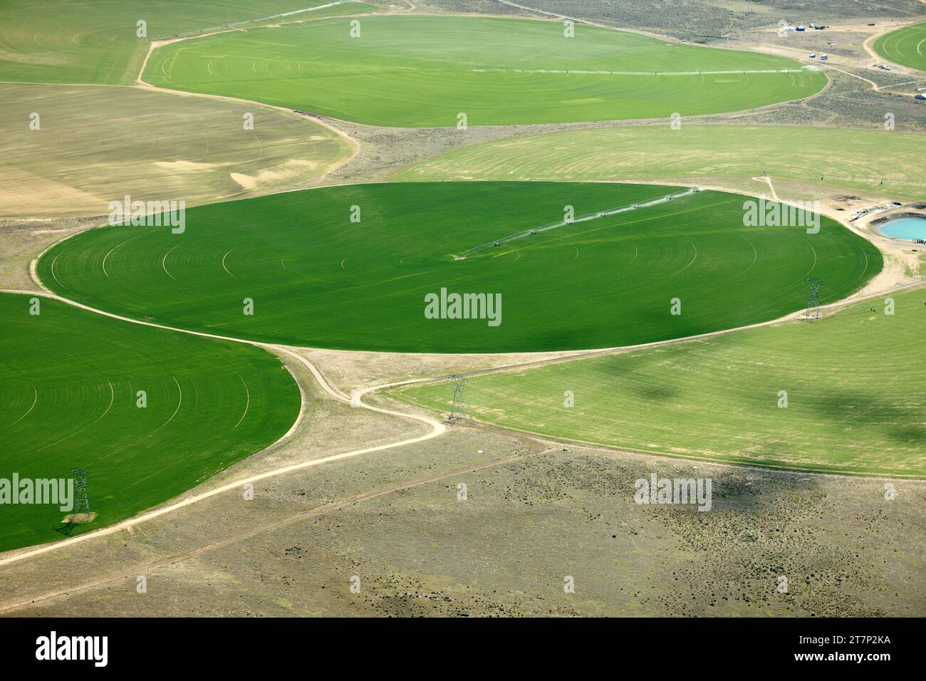 An aerial view of crop circles in farm land, created by center pivot sprinklers watering alfalfa fields in Washington state. Stock Photo