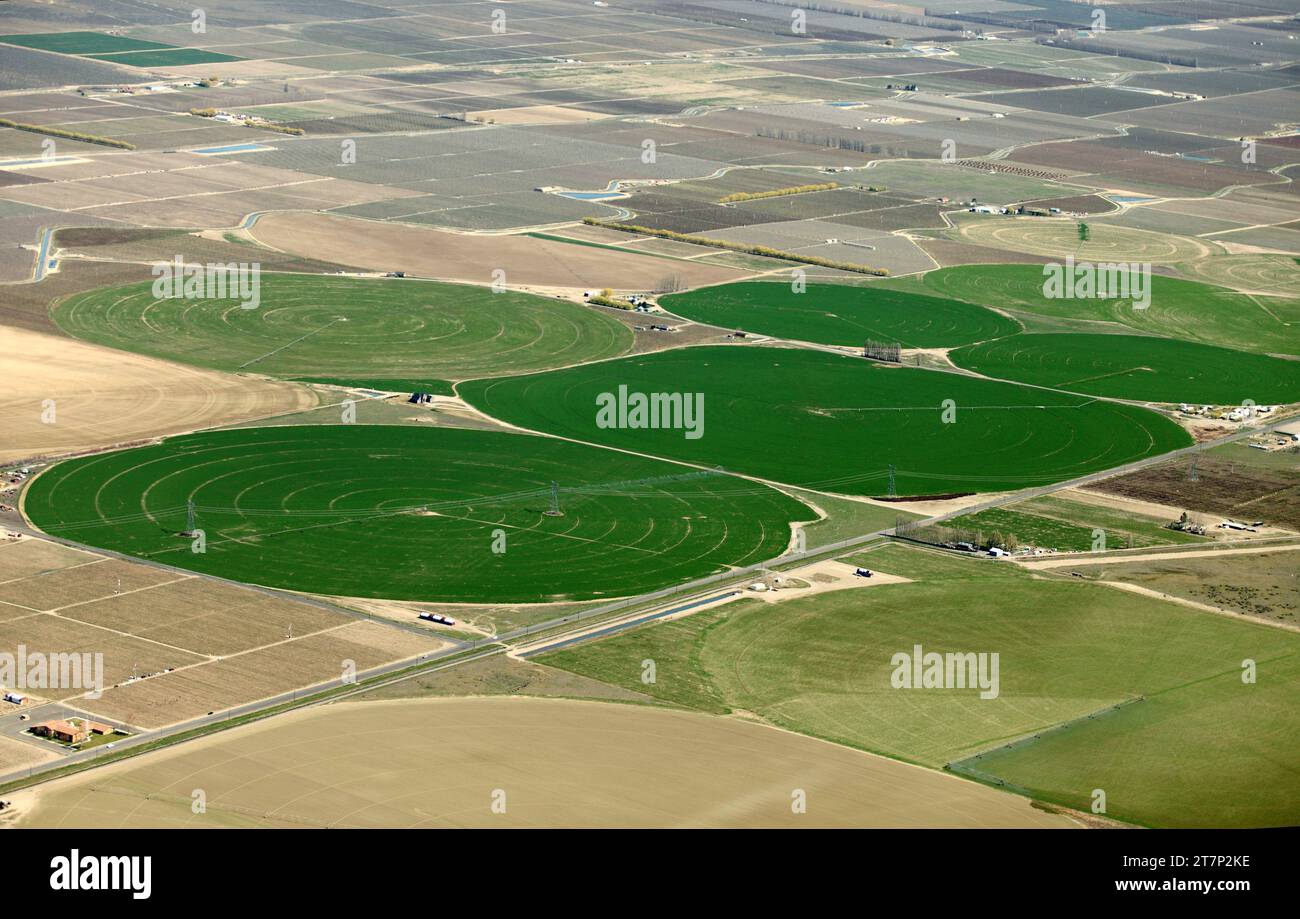 An aerial view of crop circles in farm land, created by center pivot sprinklers watering alfalfa fields in Washington state. Stock Photo