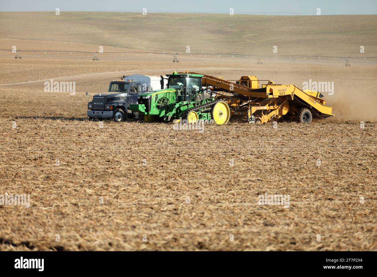 Farmers and field hands use farm machinery harvesting potatoes in the fertile farm fields of Idaho.  The potatoes are dug by a wind rower, and gently Stock Photo