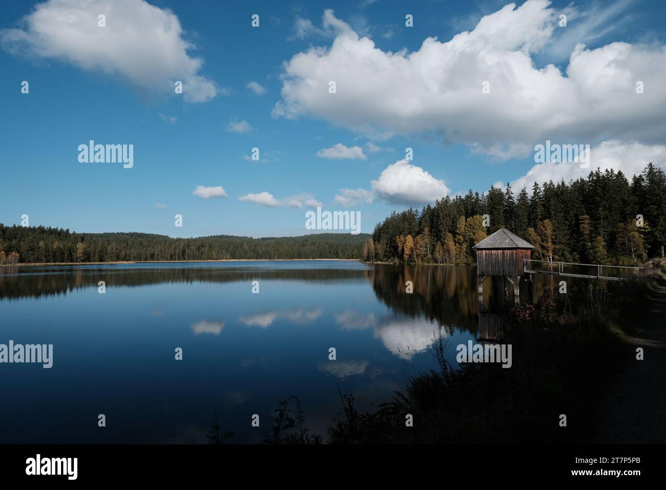 Forstgut hires stock photography and images Alamy