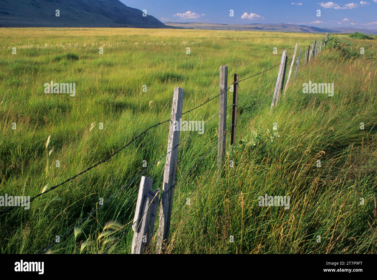 Boundary ranch fence, Summer Lake Wildlife Area, Oregon Stock Photo - Alamy