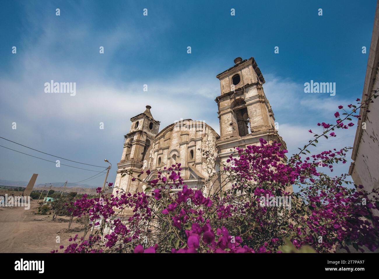 Vibrant Resilience: Nature's blossoms flourish, breathing life into the solemn quietude of an abandoned church Stock Photo
