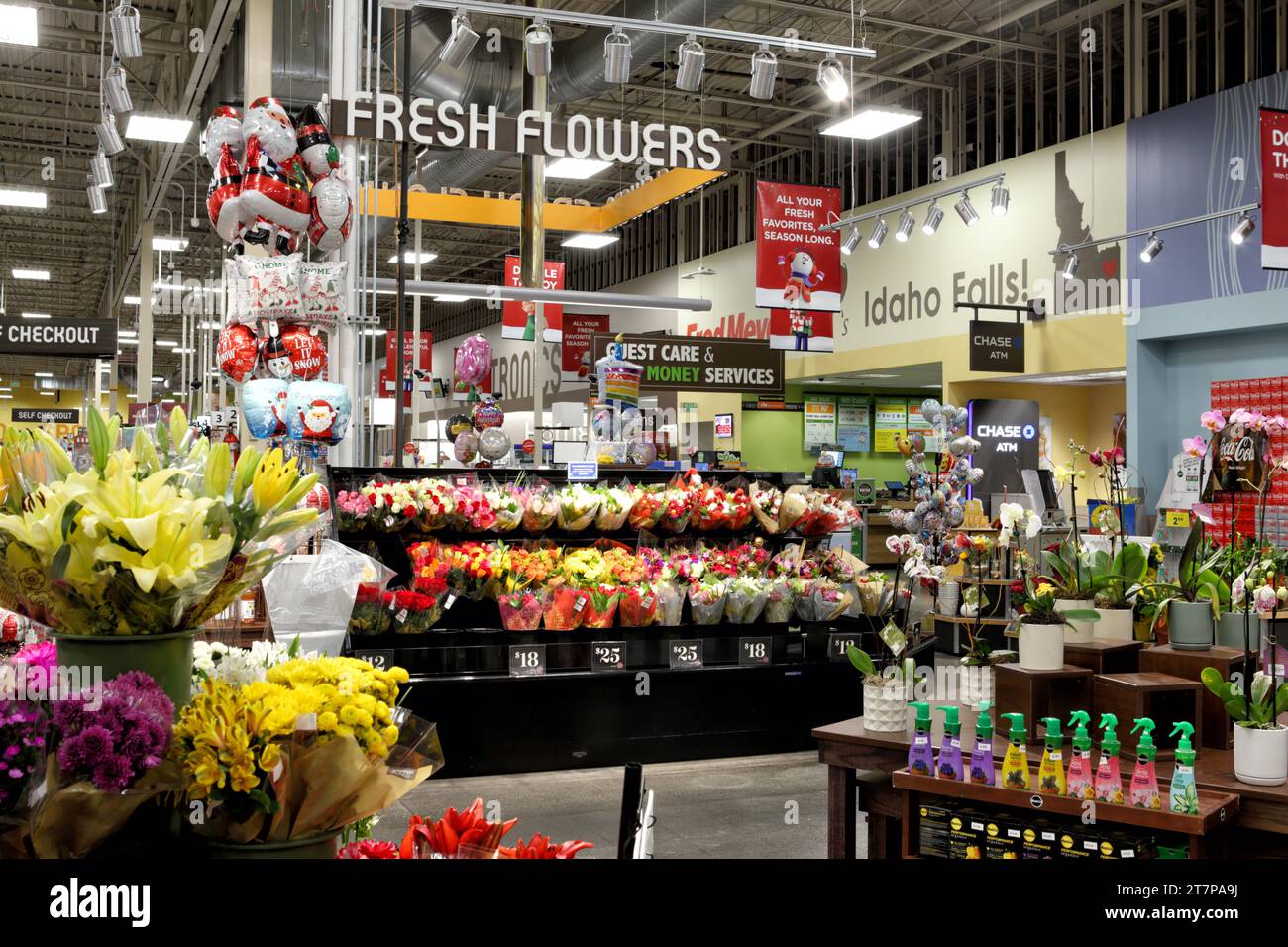 Fresh vegetables supermarket: Más de 178,663 fotos de stock con licencia  libres de regalías