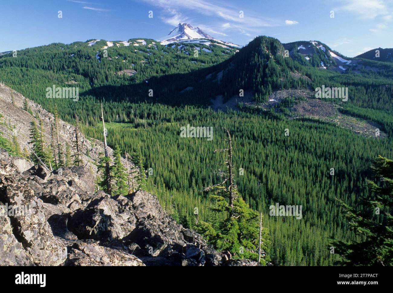 Mt Jefferson & Pyramid Peak from PCT South of Ruddy Hill, Olallie Lake Scenic Area, Mt Hood National Forest, Oregon Stock Photo