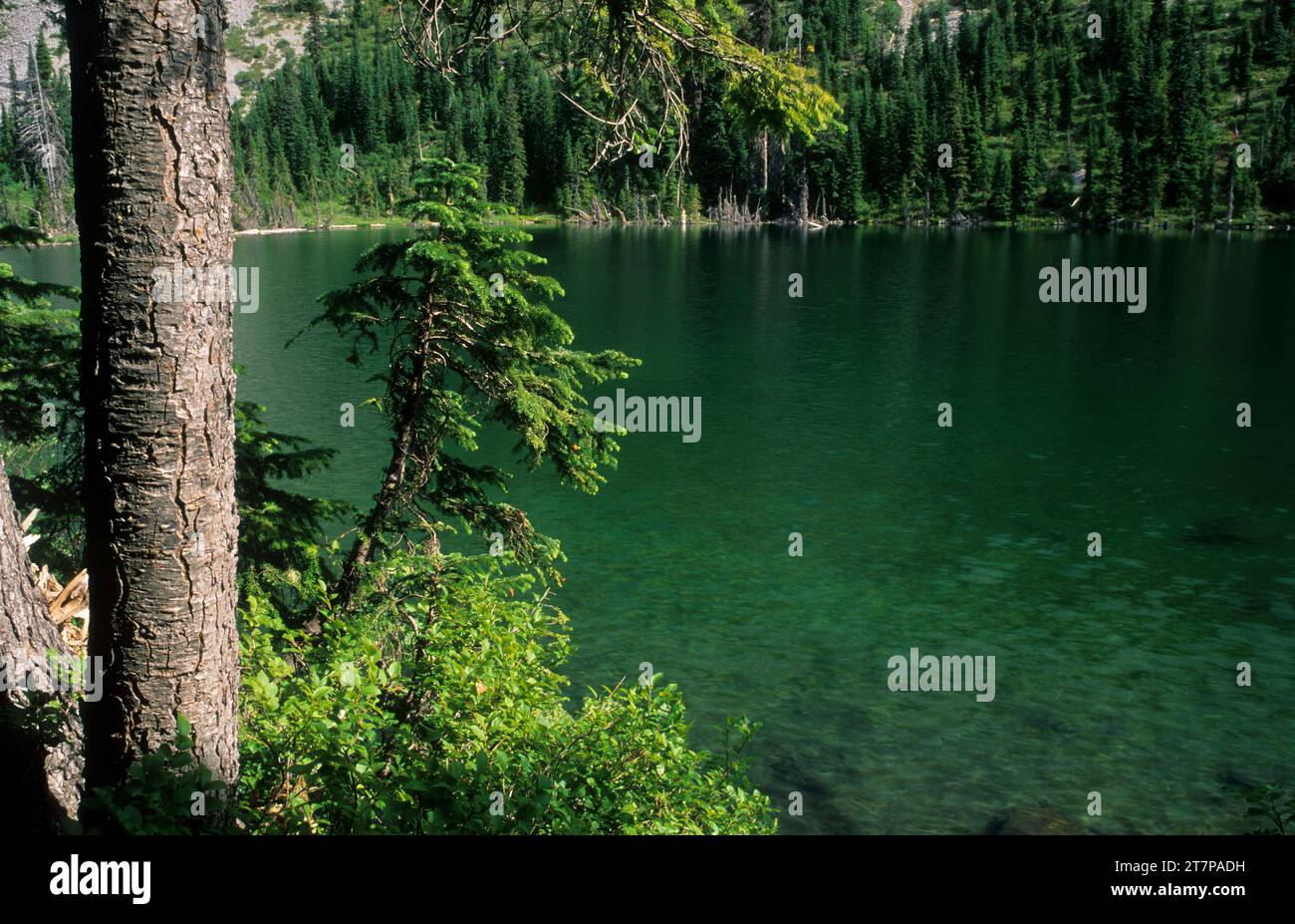 Hunts Lake, Mt Jefferson Wilderness, Willamette National Forest, Oregon ...