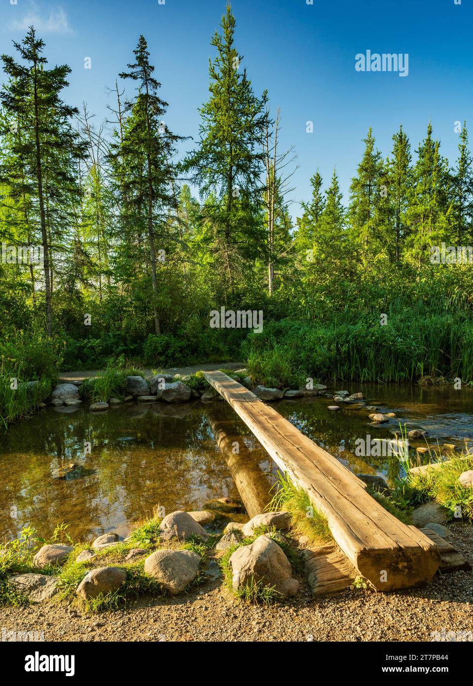 Log Bridge Over the Mississippi River Headwaters at Itasca State Park in Minnesota Stock Photo
