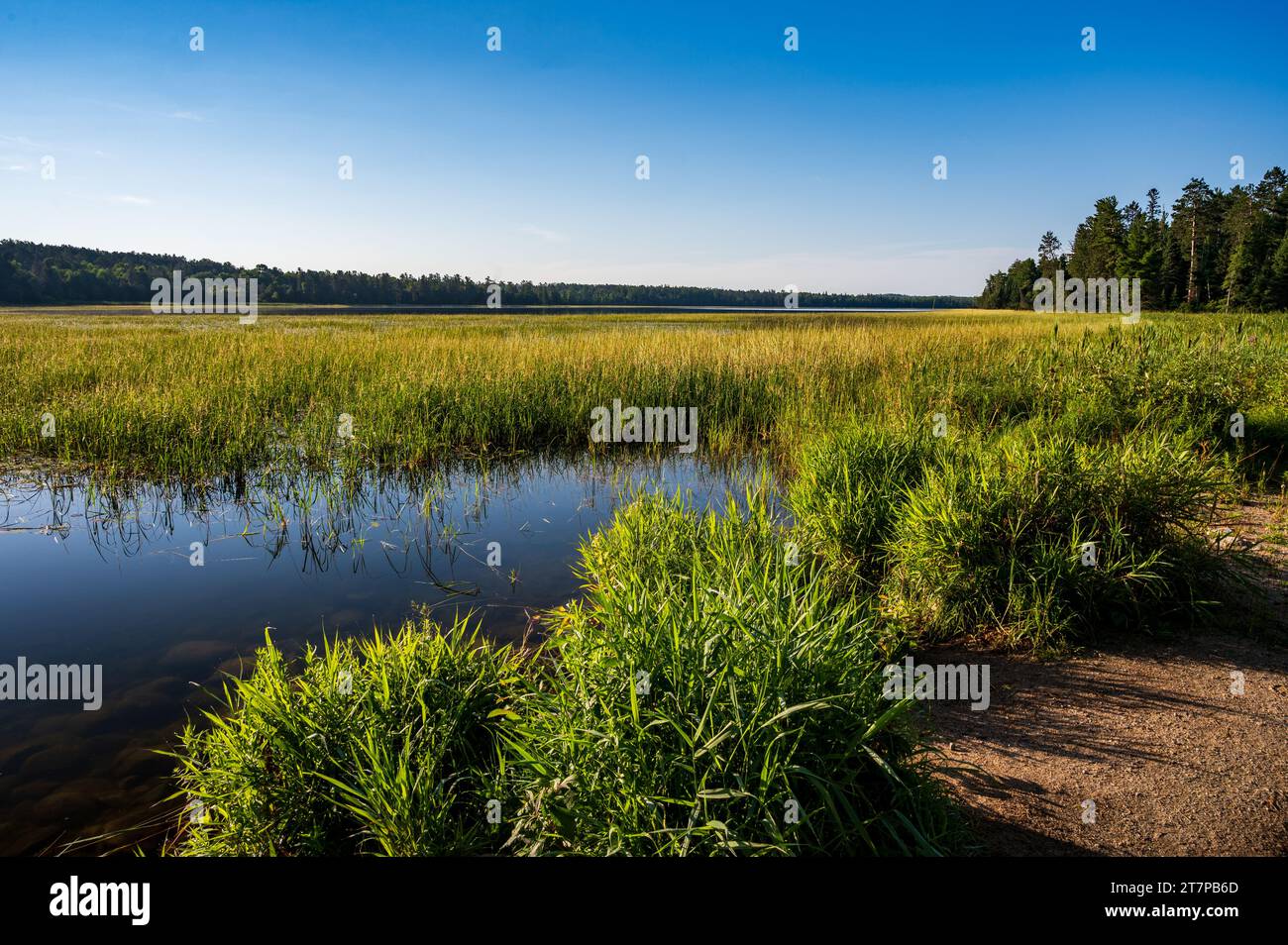 View of Lake Itasca from Mississippi River Headwaters at Itasca State Park in Minnesota Stock Photo