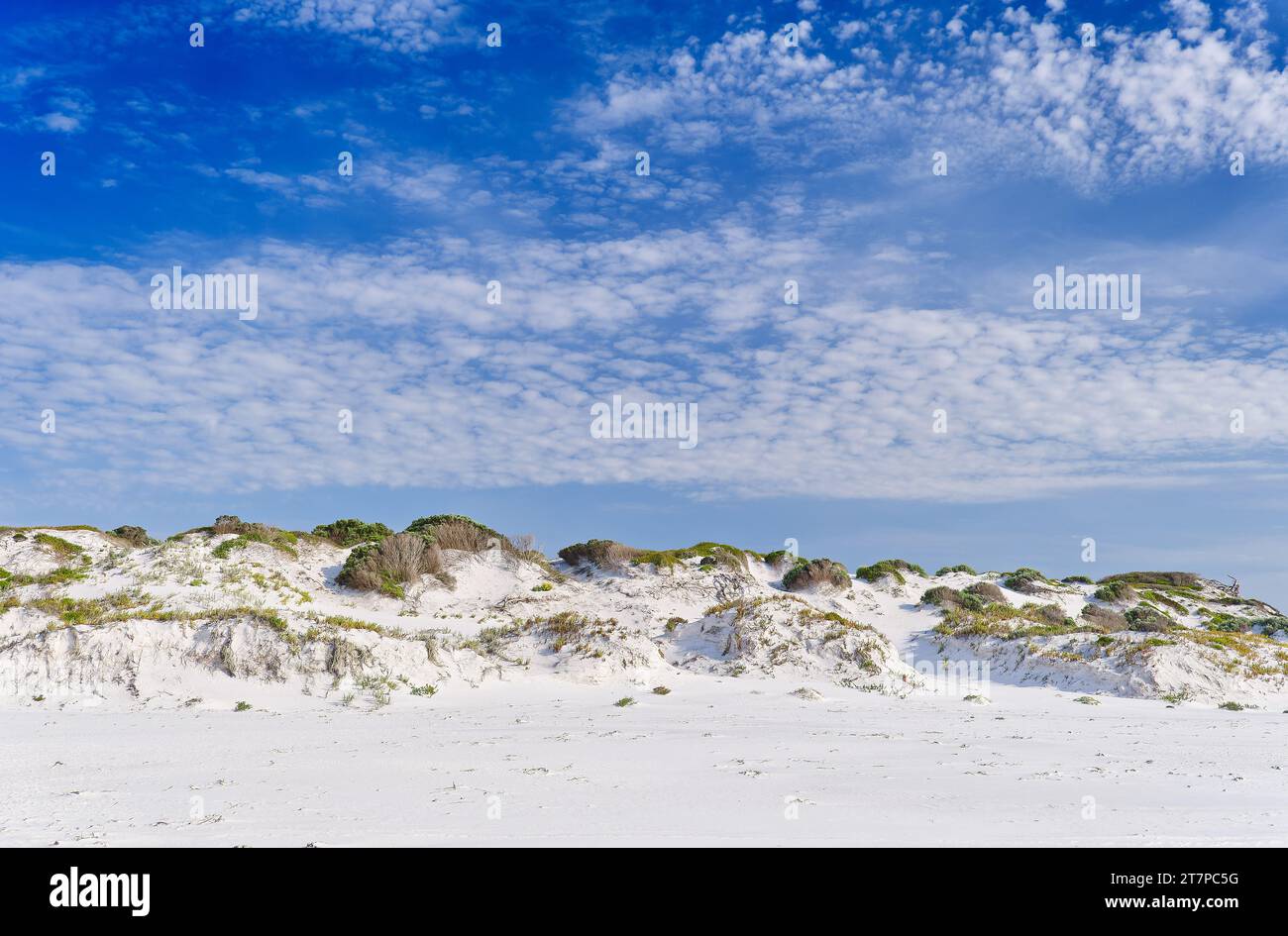 White sand dunes below light cloud in blue sky on Mamang Trail at Point Ann, Fitzgerald River National Park, Western Australia, Australia Stock Photo