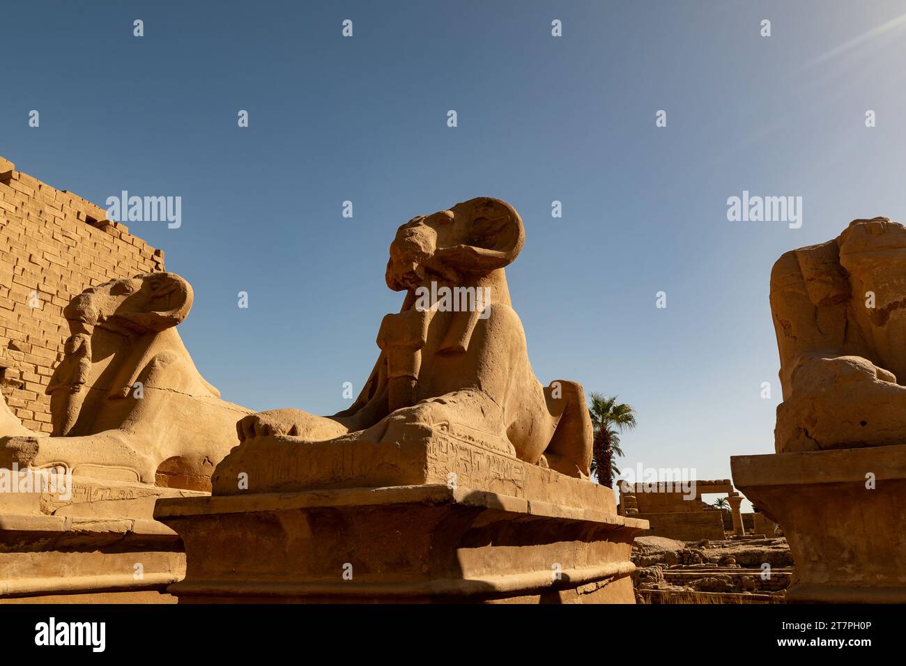 Large stone sphinx statue in the ancient ruins of Karnak Temple complex in the Egyptian Desert