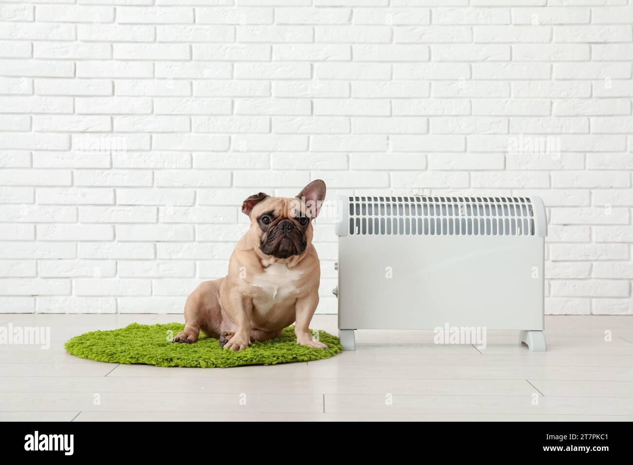 Cute French bulldog with electric heater near white brick wall Stock Photo
