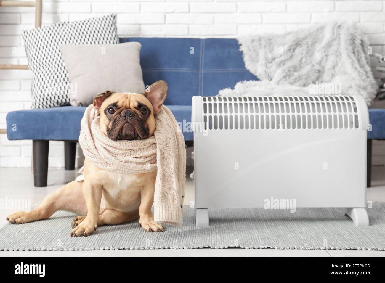 Cute French bulldog with scarf and electric heater at home Stock Photo