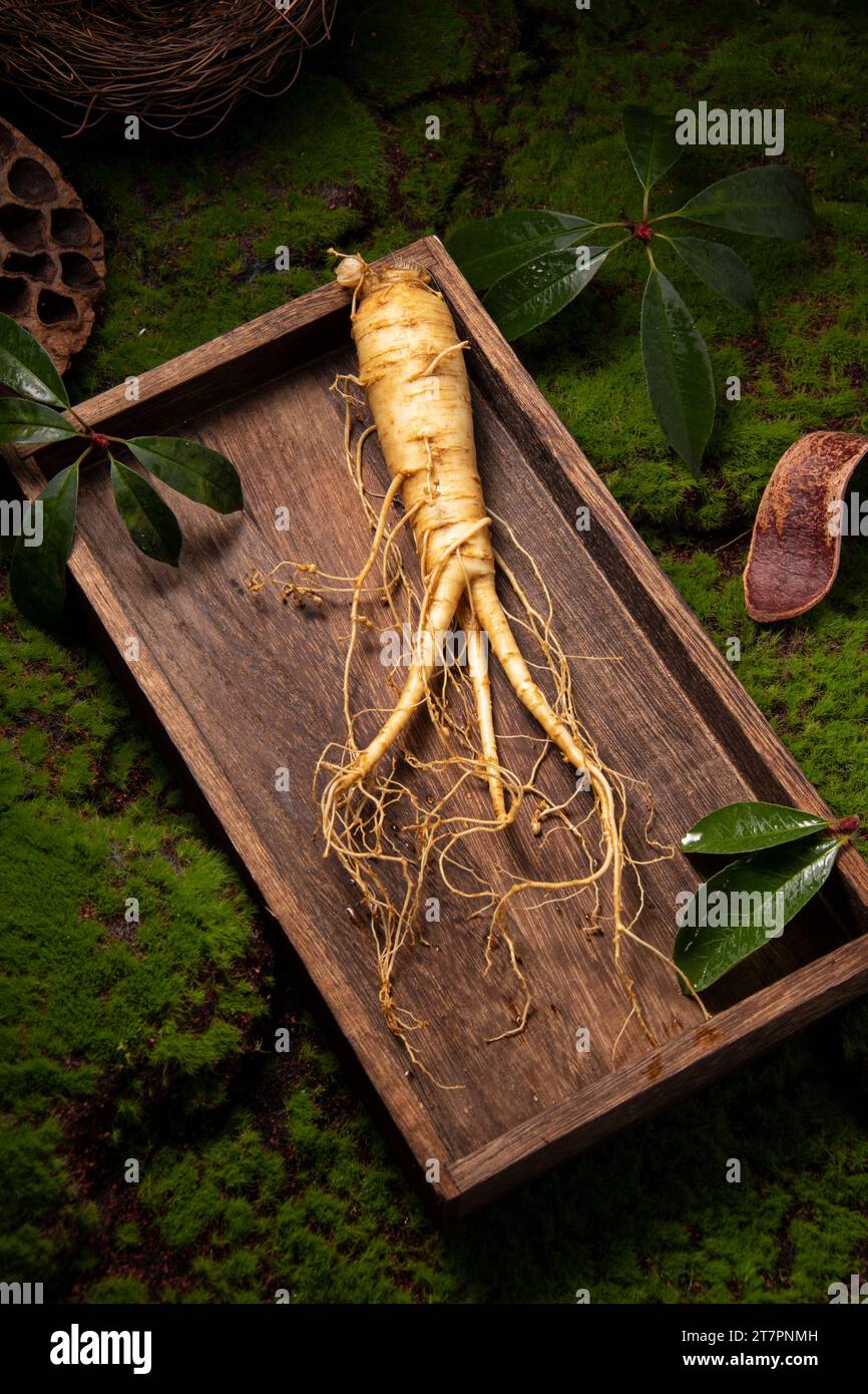 Fresh ginseng root, the amazing health benefits of ginseng you need to