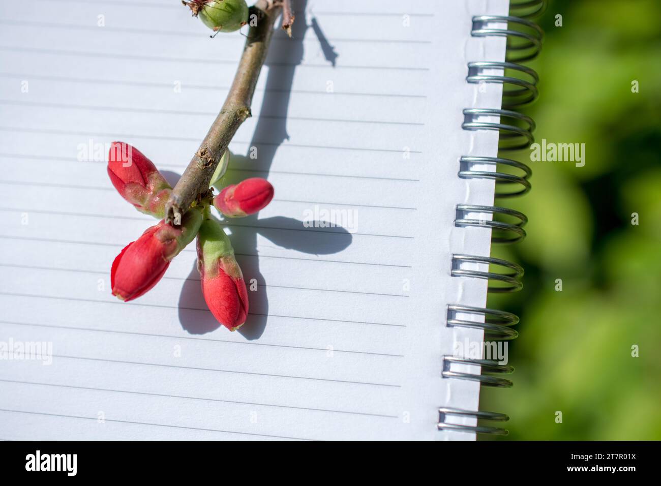 Spring notebook hi-res stock photography and images - Alamy