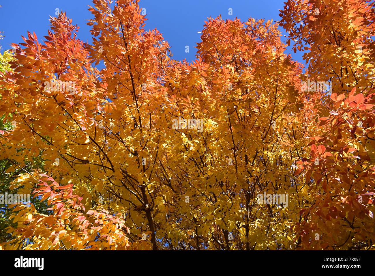 Capturing seasons hi-res stock photography and images - Alamy