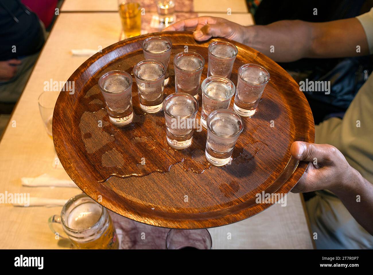 Nine ouzo served on a tray in a Greek pub, Franconia, Bavaria, Germany Stock Photo