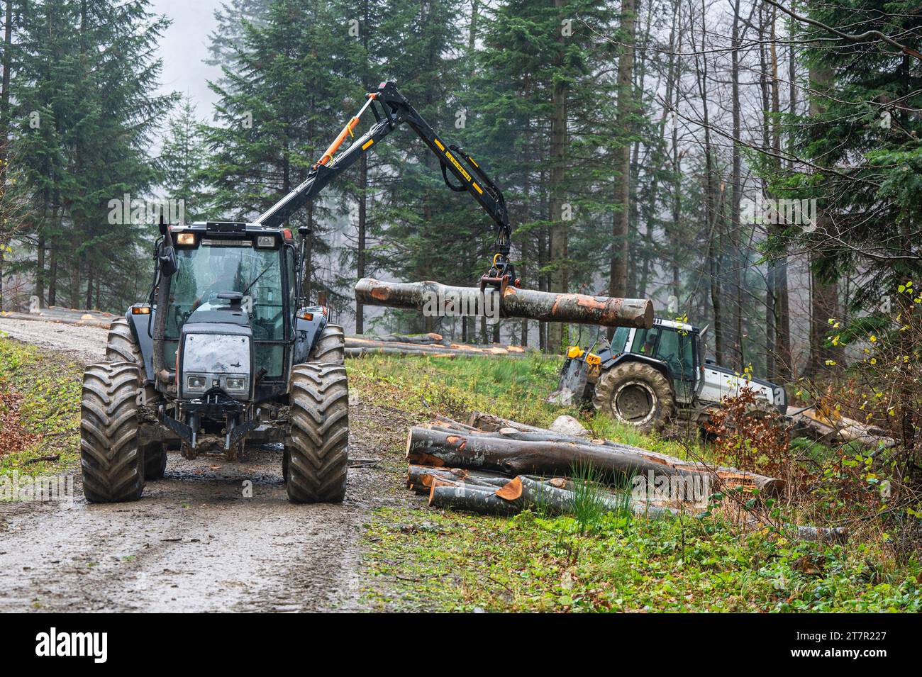 A specialized forest tractor working with logging in the rain in the Carpathians, Poland. Stock Photo