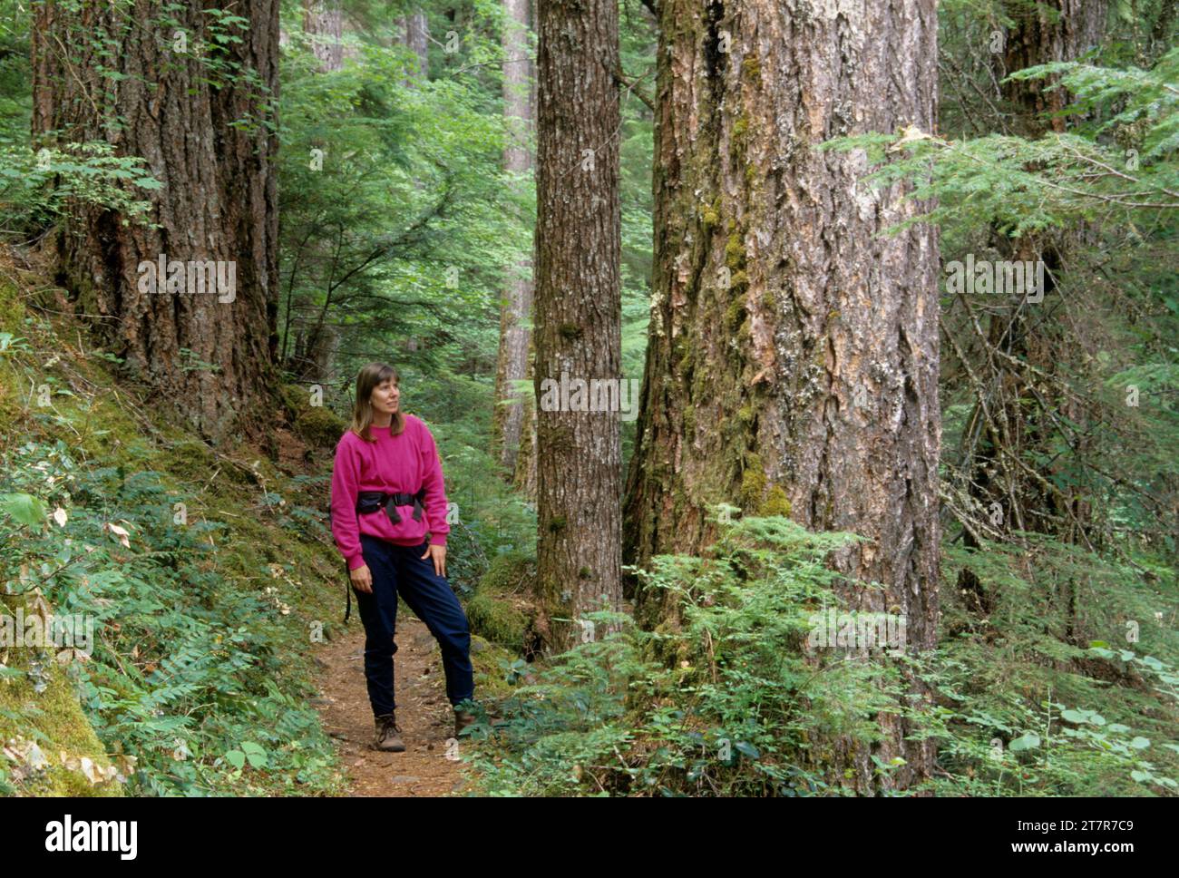 South Breitenbush National Recreation Trail, Willamette National